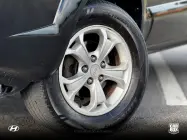  - Miniatura